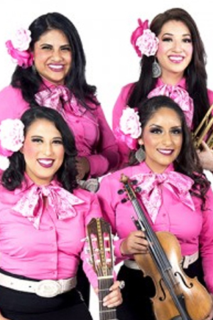 Pink Mariachi